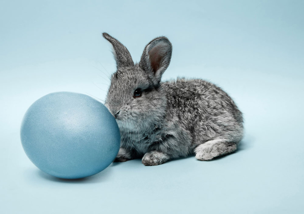 - Радио Romantika - Радио Romantika